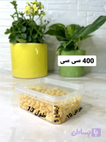 ظروف فریزری400سی سی