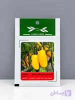 گوجه تخم مرغی طلایی درختی