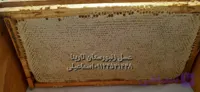 عسل با قاب و موم
