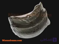 لنت ترمز عقب نیسان پاترول ۶ سیلندر ساخت چین