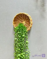دیوارکوب حصیری