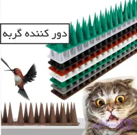 دورکننده گربه و حیوانات و پرندگان