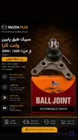 سیبک طبق پایین کارا تایوان