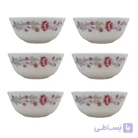 کاسه پارس اپال مدل دنیز کد 710 بسته 6 عددی