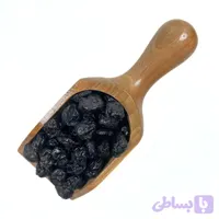 بلوبری خشک 100گرم