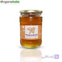 عسل طبیعی پرنده – 900 گرم