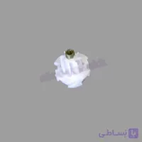 کوبل سرموتور بدون ساچمه آبمیوه گیری ناسیونال(اصلی)