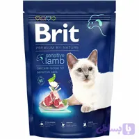 غذای خشک گربه حساس با طعم بره بریت brit