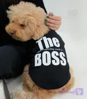تیشرت ست سگ و گربه مدلBOSS