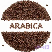 دان قهوه عربیکا (برزیل ریو)