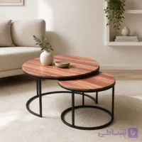 میز جلو مبلی دوتکه دایره مدل مینیمال سری 23 فلزی