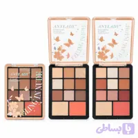 پالت سایه رژگونه و هایلایتر 11 رنگ آنی لیدی AnyLady (کد 7KZNC)