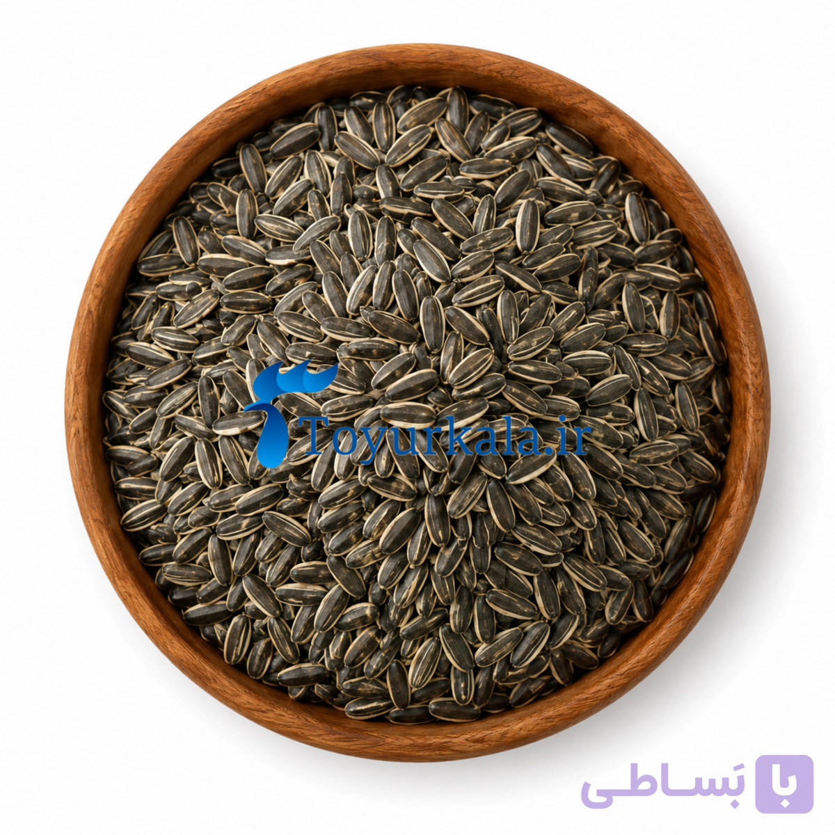 تخمه درشت طوطی سانان (1 کیلوگرمی)