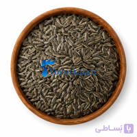 تخمه درشت طوطی سانان (1 کیلوگرمی)