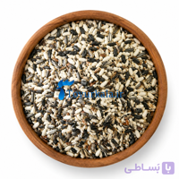 تخمه مخلوط طوطی سانان (1 کیلوگرمی)