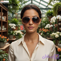 عینک زنانه ری‌ بن شیک و لاکچری Rayban وردسا