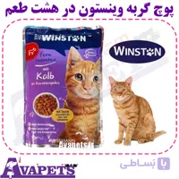 پوچ گربه وینستون در هشت طعم