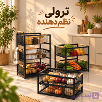 ترولی نظم دهنده