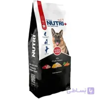 غذا خشک اکتیو سگ نوتری پت وزن 2 کیلوگرم