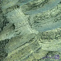 پودر صدف طاووسی پپوکسی ۱۰گرمی