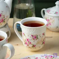 ماگ سولیکاسا