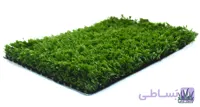 چمن مصنوعی 30 میل بهاره پلاس