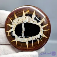 نگین درشت کلکسیونی سنگ طبیعی سپتارین معدنی کد S3464