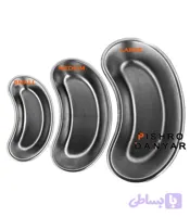 رسیور (کیدنی) پیشرو Pishro