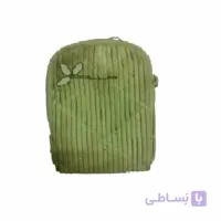 کیف دوربین