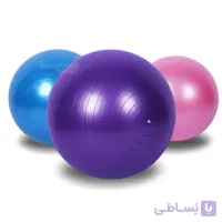 فیزیوبال (جیم بال) قطر 65 سانتی متر | حامدیان اسپرت