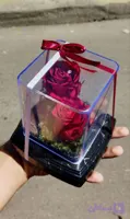 گل رز جاودان دو گل مدل rose کد 204
