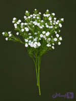 گل عروس (ژیپسوفیلیا) رنگ سفید بوته 7 شاخه مدلgypsophila کد 10