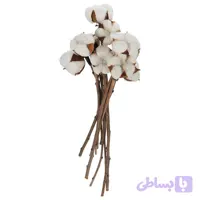 گل خشک مدل پنبه مدل panbeh بسته 10 عددی کد557