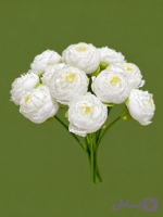 دسته گل پیونی مصنوعی مدل لوکس (10 عددی) – سایز 30x30 - رنگ سفید صدفی