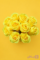 دسته گل رز باکارا مصنوعی 10 عددی رنگ زرد مدل bakara کد 68