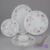سرویش ارکوپال ۲۵ پارچه ایروپال مدل رستا صورتی