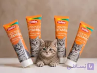 خمیر مولتی ویتامین بچه گربه نوبی Nobby Kitten multivitamin paste وزن ۱۰۰ گرم