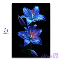تابلو گل سوسن آبی