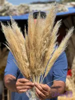 گل خشک پامپاس گراس بسته 10عددی