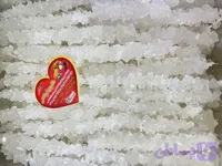 نبات شاخه سفید درجه یک