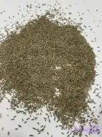 زیره سبز خراسان اعلا