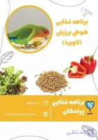 برنامه غذایی طوطی برزیلی سرلاکی تا بالغ (فایل آماده)