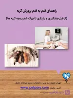راهنمای پرورش گربه