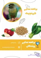 برنامه غذایی طوطی گرینچیک در تمام دوران‌‌ها