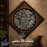 قاب الماس تراش آب نقره مرغ برجسته