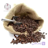 بذر درخت قهوه عربی