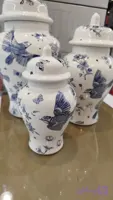 جینجر ست سه تایی گل آبی