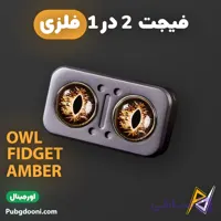 فیجت اسلایدر ۲ در ۱ ضد استرس Owl Fidget Slider Amber اورجینال