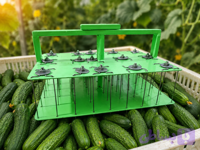 سوک زن خیار دستی