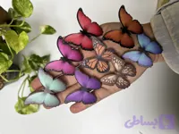 گیره استیکری پروانه